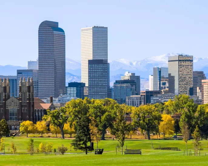 Cityscape with grass and trees in front