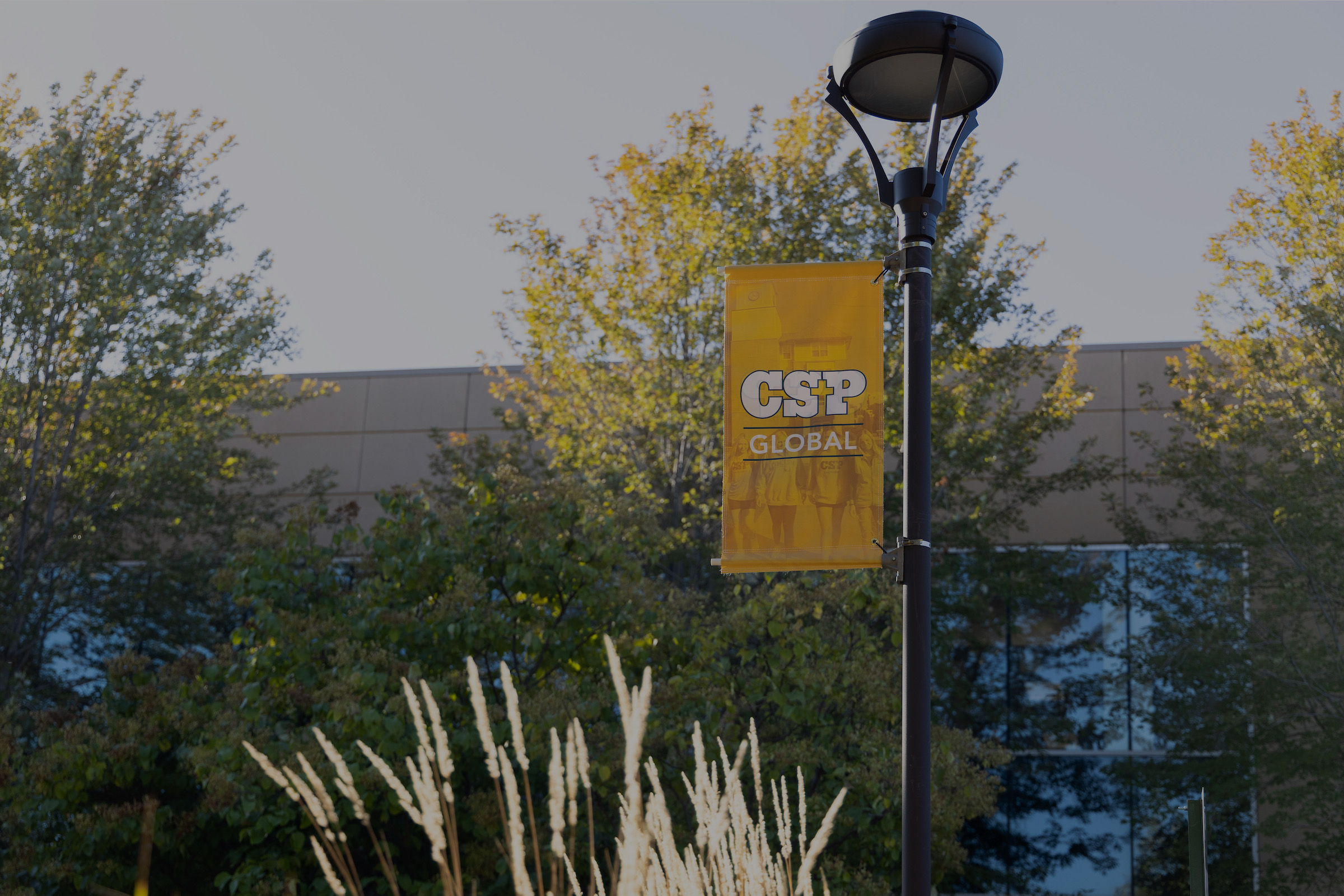 Black light pole with gold "CSP Global" banner attached to it outdoors.